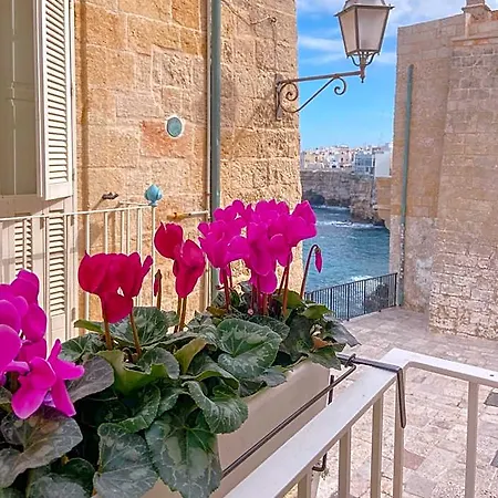 A Casa Di Elena 12 Guest house